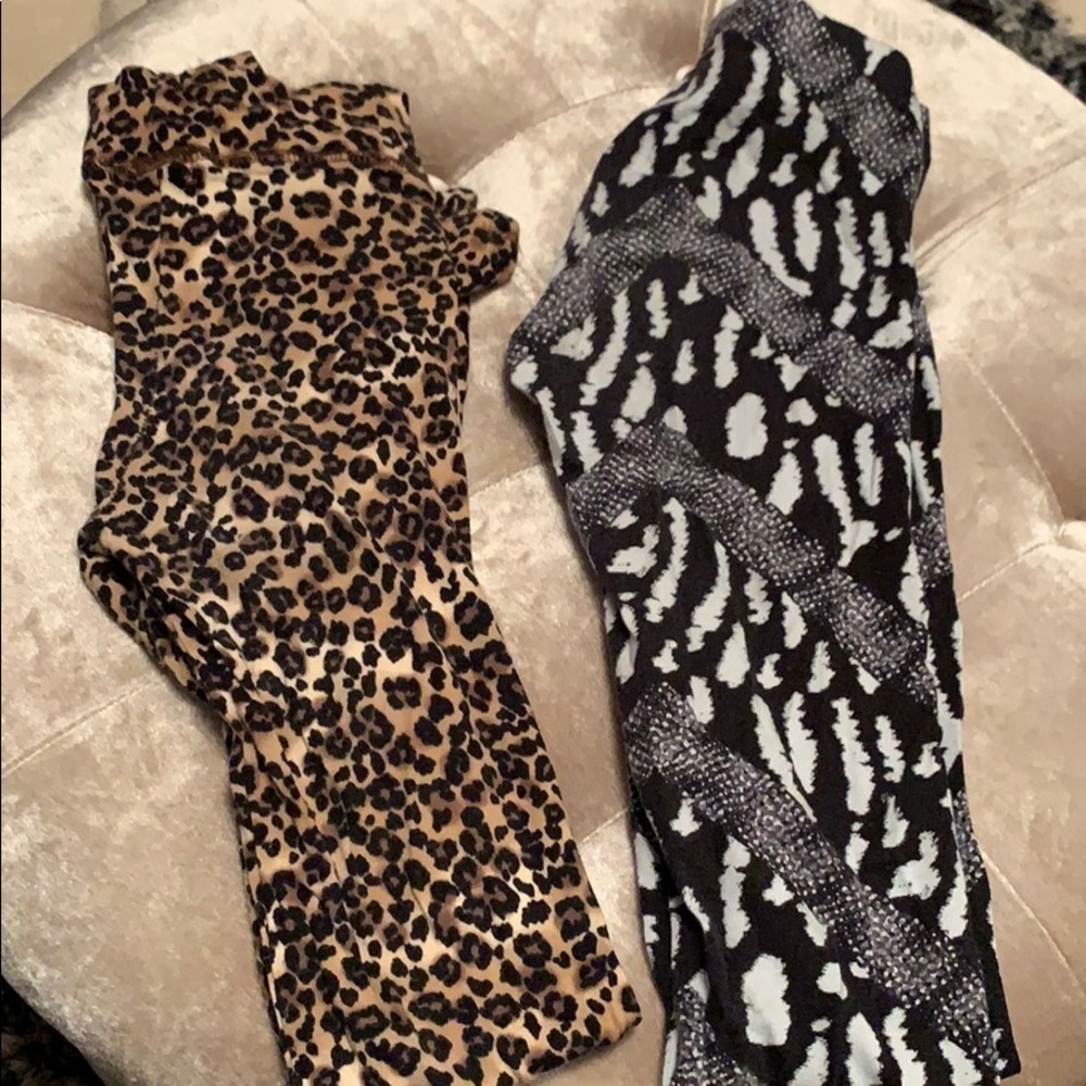 2 pair of fun leggings, Wet Seal, Charlotte Russe